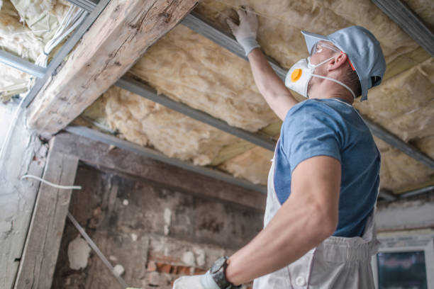 Best DIY Insulation Kits and Guidance in Stony Point, NC